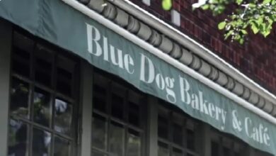 Blue Dog Bakery & Cafe Menu