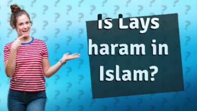 Is Lays Halal