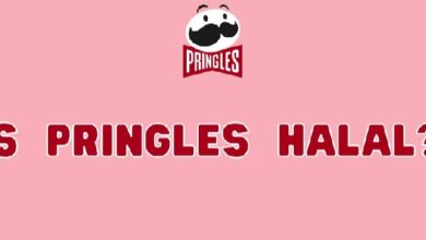 Is Pringles Halal
