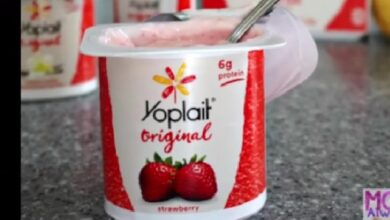 Is Yoplait Yogurt Halal