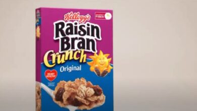 Raisin Bran Nutrition Facts