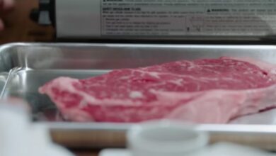 Ribeye Steak Nutrition Facts