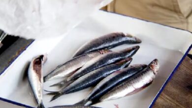 Sardines Nutrition Facts