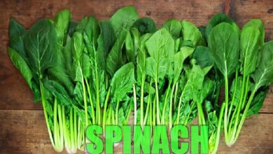 Spinach Nutrition Facts