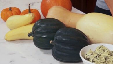 Squash Nutrition Facts