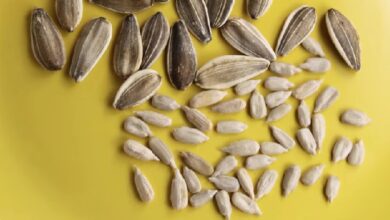 Sunflower Seeds Nutrition Facts