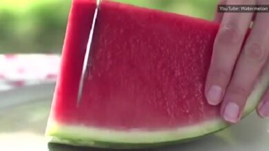 Watermelon Nutrition Facts