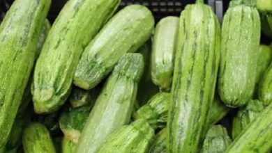 Zucchini Nutrition Facts